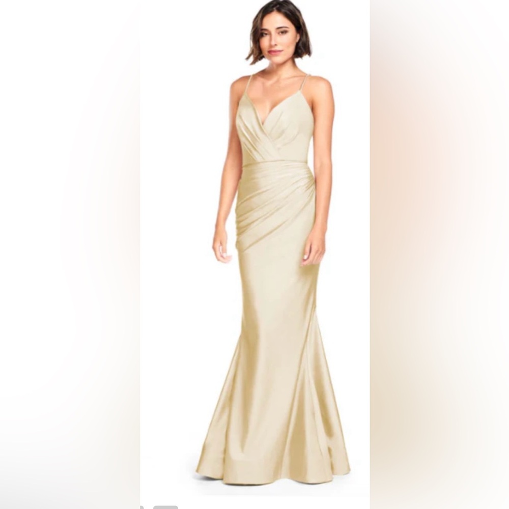 Bari Jay Dress